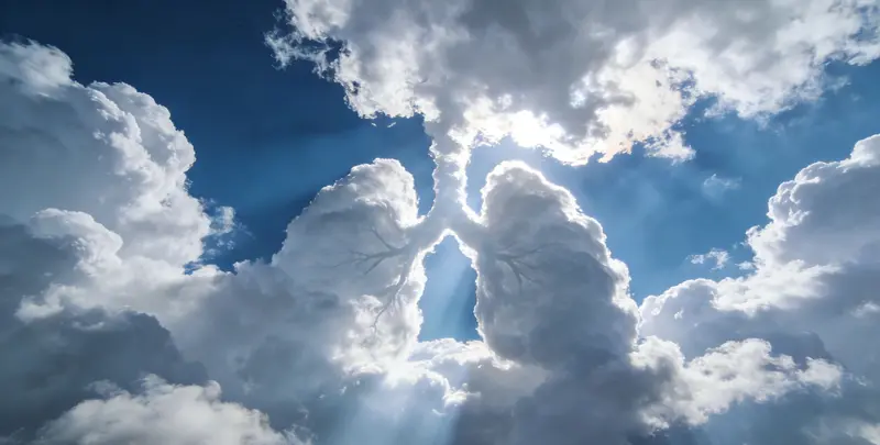 鹤岗肺癌49基因检测图片1