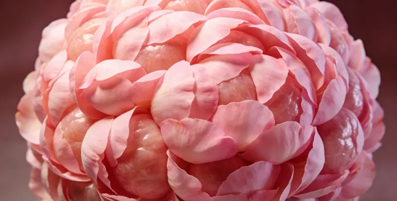 鹤岗BRCA1/2乳腺癌卵巢癌基因检测图片1